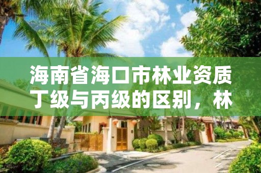 海南省海口市林业资质丁级与丙级的区别，林业丙级资质办理条件