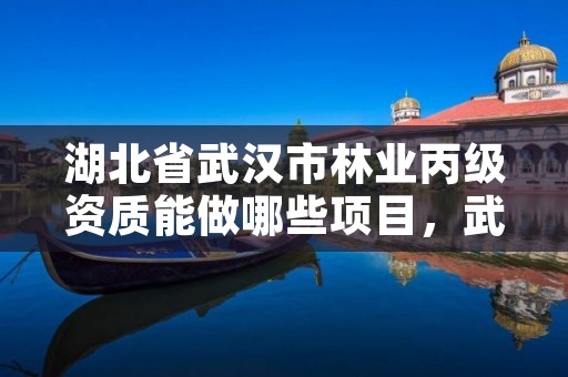 湖北省武汉市林业丙级资质能做哪些项目，武汉林业公司有哪些