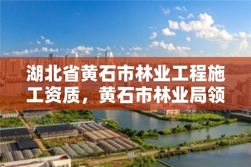 湖北省黄石市林业工程施工资质，黄石市林业局领导班子