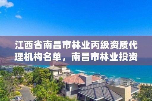 江西省南昌市林业丙级资质代理机构名单，南昌市林业投资发展有限公司