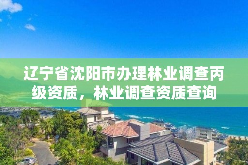 辽宁省沈阳市办理林业调查丙级资质，林业调查资质查询