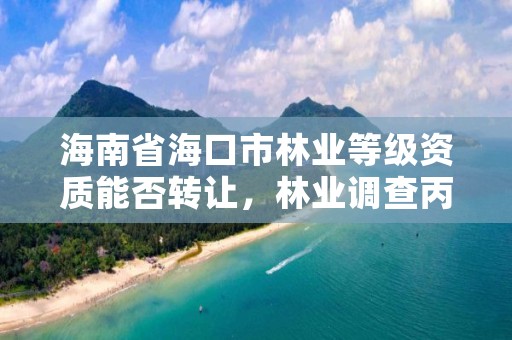 海南省海口市林业等级资质能否转让，林业调查丙级资质转让