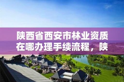 陕西省西安市林业资质在哪办理手续流程，陕西省西安市林业局电话