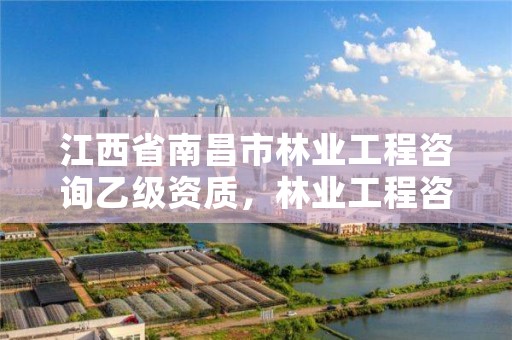 江西省南昌市林业工程咨询乙级资质，林业工程咨询公司