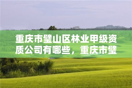 重庆市璧山区林业甲级资质公司有哪些，重庆市璧山区林业甲级资质公司有哪些企业