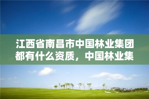 江西省南昌市中国林业集团都有什么资质，中国林业集团有限公司总部在哪