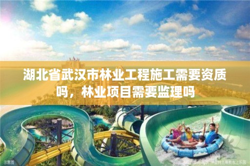 湖北省武汉市林业工程施工需要资质吗，林业项目需要监理吗