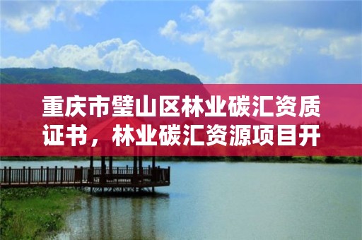 重庆市璧山区林业碳汇资质证书，林业碳汇资源项目开发的公司