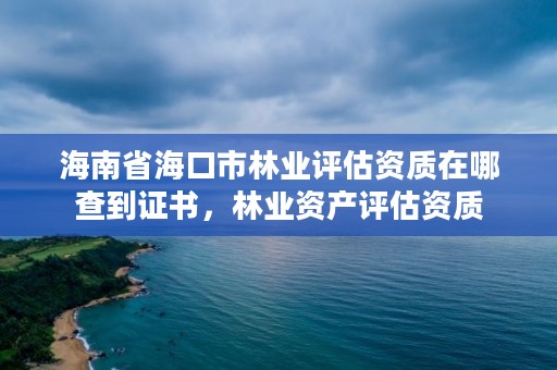 海南省海口市林业评估资质在哪查到证书，林业资产评估资质