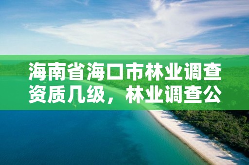 海南省海口市林业调查资质几级，林业调查公司干什么的