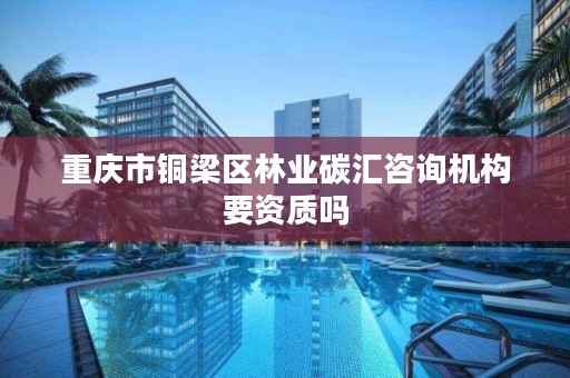 重庆市铜梁区林业碳汇咨询机构要资质吗