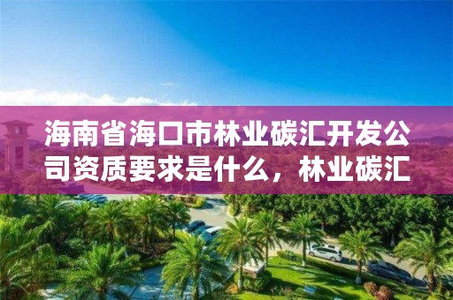 海南省海口市林业碳汇开发公司资质要求是什么，林业碳汇咨询公司