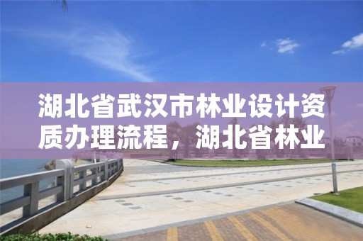 湖北省武汉市林业设计资质办理流程，湖北省林业勘察设计院电话