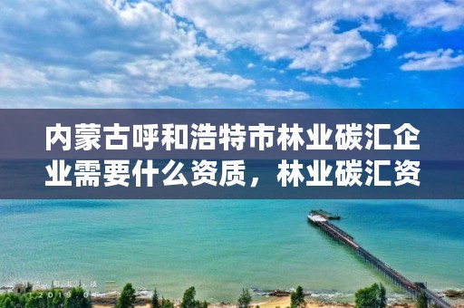 内蒙古呼和浩特市林业碳汇企业需要什么资质，林业碳汇资源项目开发的公司