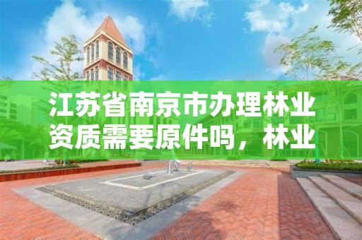 江苏省南京市办理林业资质需要原件吗，林业资质如何申请办理