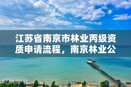 江苏省南京市林业丙级资质申请流程，南京林业公司