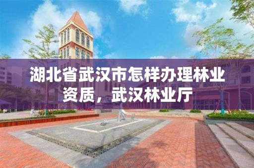 湖北省武汉市怎样办理林业资质，武汉林业厅