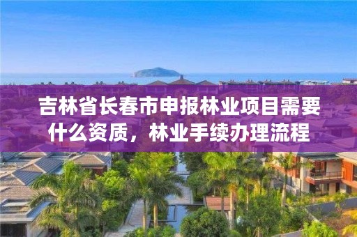 吉林省长春市申报林业项目需要什么资质，林业手续办理流程