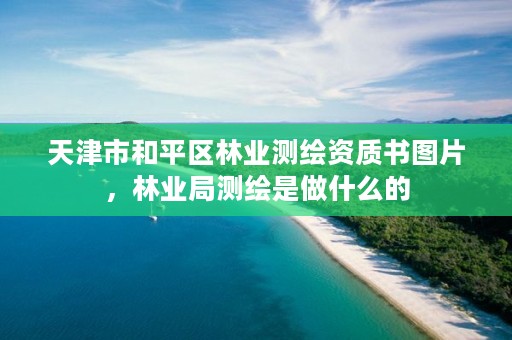 天津市和平区林业测绘资质书图片，林业局测绘是做什么的