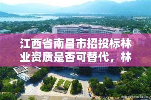 江西省南昌市招投标林业资质是否可替代，林业项目招投标规定