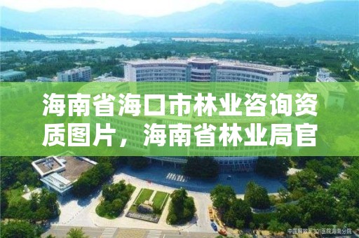 海南省海口市林业咨询资质图片，海南省林业局官方网站