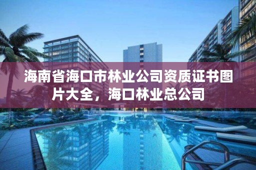 海南省海口市林业公司资质证书图片大全，海口林业总公司