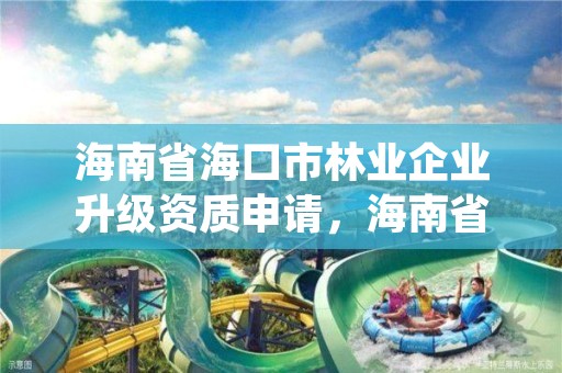 海南省海口市林业企业升级资质申请，海南省林业总公司待遇