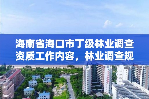 海南省海口市丁级林业调查资质工作内容，林业调查规划乙级资质有哪些