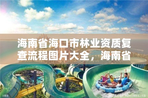 海南省海口市林业资质复查流程图片大全，海南省林业局投诉电话