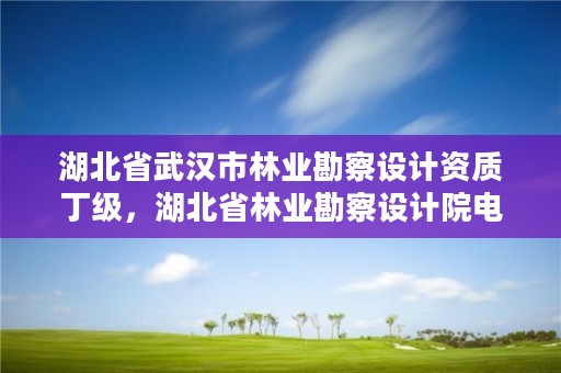 湖北省武汉市林业勘察设计资质丁级，湖北省林业勘察设计院电话