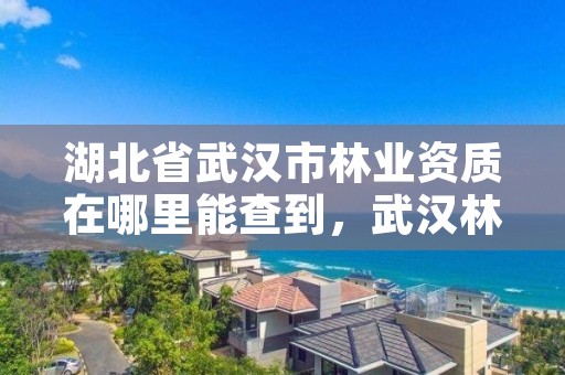 湖北省武汉市林业资质在哪里能查到，武汉林业公司有哪些