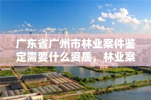 广东省广州市林业案件鉴定需要什么资质，林业案件鉴定对鉴定人的规定