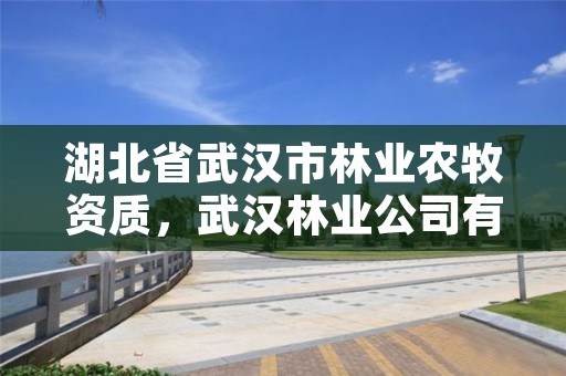 湖北省武汉市林业农牧资质，武汉林业公司有哪些