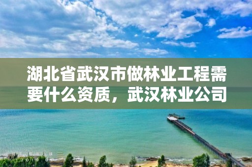 湖北省武汉市做林业工程需要什么资质，武汉林业公司有哪些