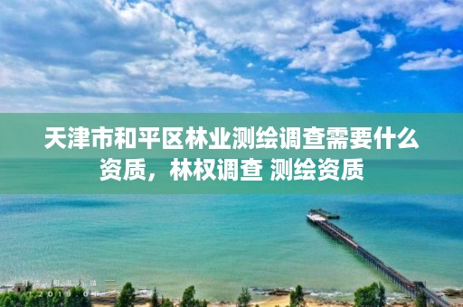 天津市和平区林业测绘调查需要什么资质，林权调查 测绘资质