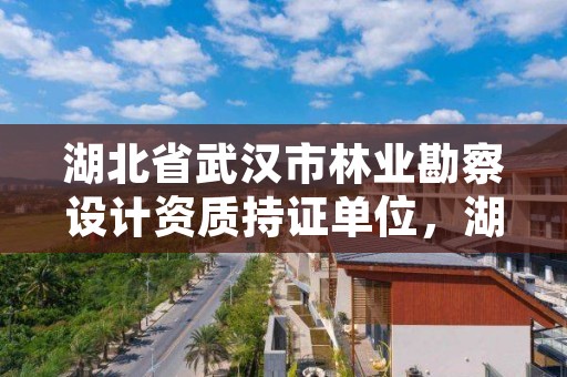 湖北省武汉市林业勘察设计资质持证单位，湖北省林业勘察设计院是国企吗