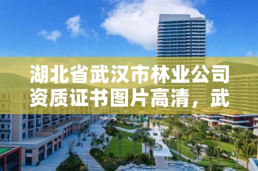 湖北省武汉市林业公司资质证书图片高清，武汉市林业集团有限公司