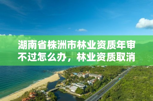 湖南省株洲市林业资质年审不过怎么办，林业资质取消了吗