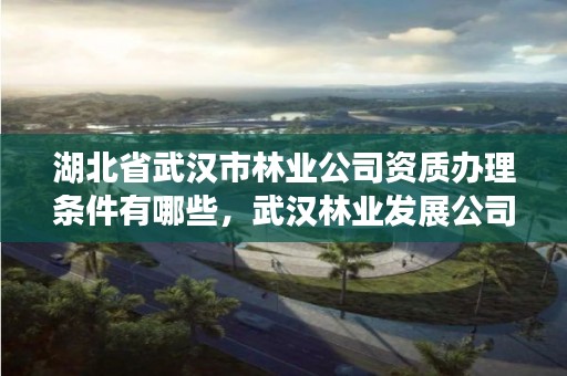 湖北省武汉市林业公司资质办理条件有哪些，武汉林业发展公司