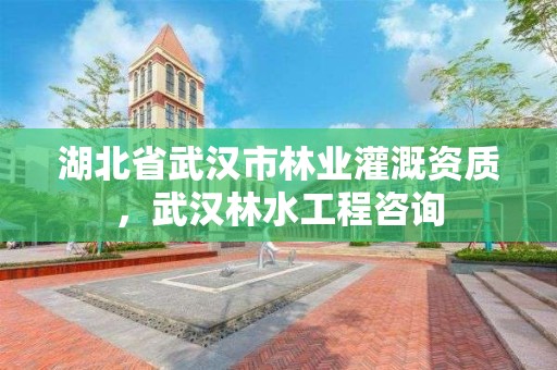 湖北省武汉市林业灌溉资质，武汉林水工程咨询