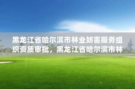 黑龙江省哈尔滨市林业妨害服务组织资质审批，黑龙江省哈尔滨市林业局官网