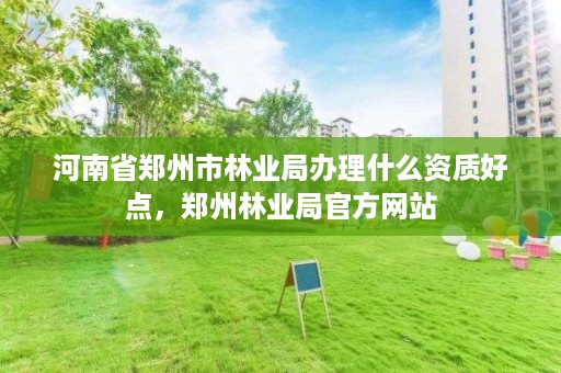 河南省郑州市林业局办理什么资质好点，郑州林业局官方网站