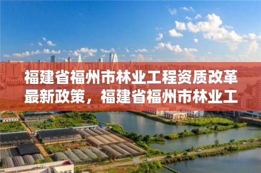 福建省福州市林业工程资质改革最新政策，福建省福州市林业工程资质改革最新政策文件