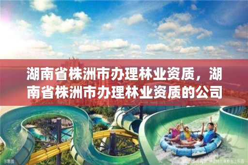 湖南省株洲市办理林业资质，湖南省株洲市办理林业资质的公司