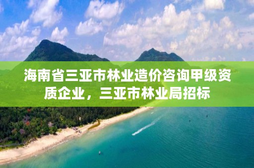 海南省三亚市林业造价咨询甲级资质企业，三亚市林业局招标