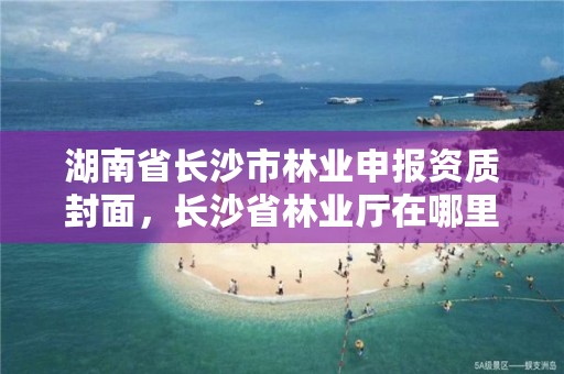 湖南省长沙市林业申报资质封面，长沙省林业厅在哪里