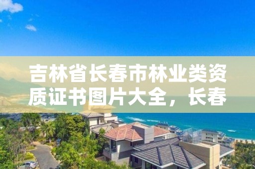 吉林省长春市林业类资质证书图片大全，长春林业厅