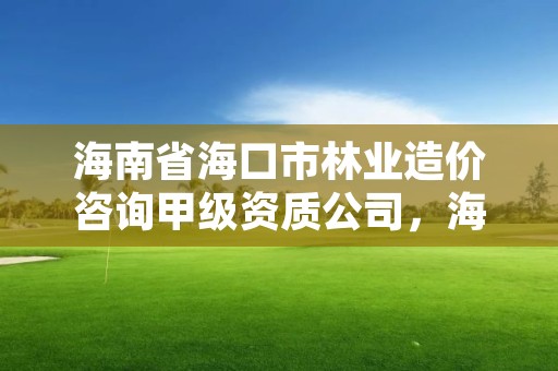 海南省海口市林业造价咨询甲级资质公司，海南省海口市林业造价咨询甲级资质公司有哪些