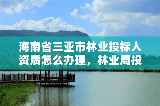 海南省三亚市林业投标人资质怎么办理，林业局投标工程哪里决定中标