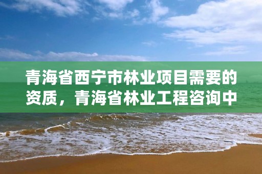 青海省西宁市林业项目需要的资质，青海省林业工程咨询中心是什么性质的单位